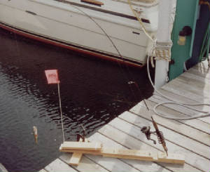 Perch off the dock on the Slammer